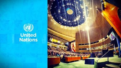 UN Activities, Community Roles, UN Actions for Future Generations