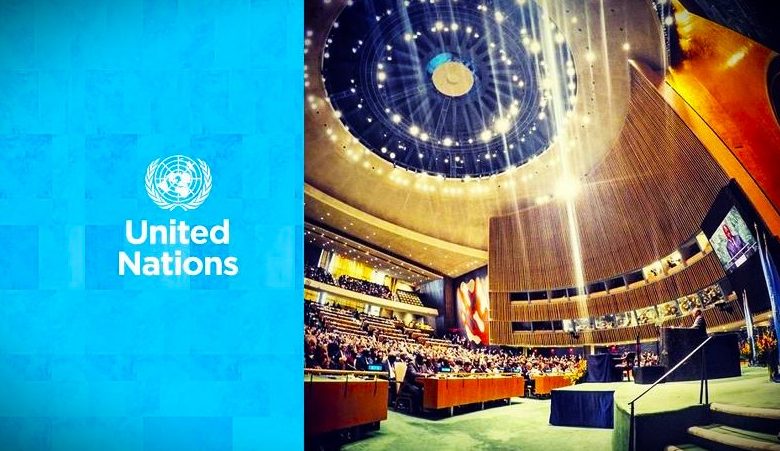 UN Activities, Community Roles, UN Actions for Future Generations