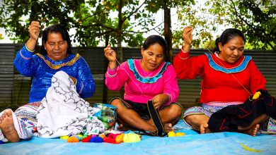 Bridging Peru's Indigenous Women to growth Modernity