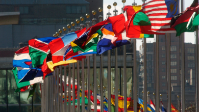 Description of United Nations Member States