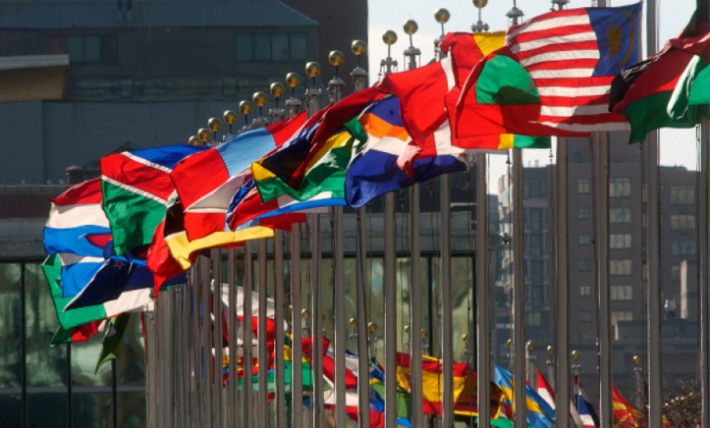 Description of United Nations Member States