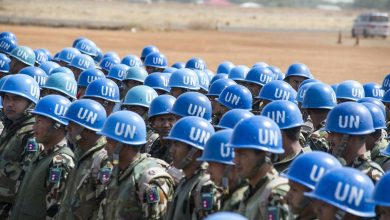 Are United Nations Troops in the United States