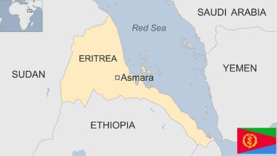 Detailed Introduction to the Country of Eritrea