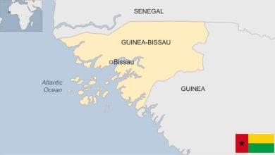 Detailed Introduction to the Country of Guinea-Bissau