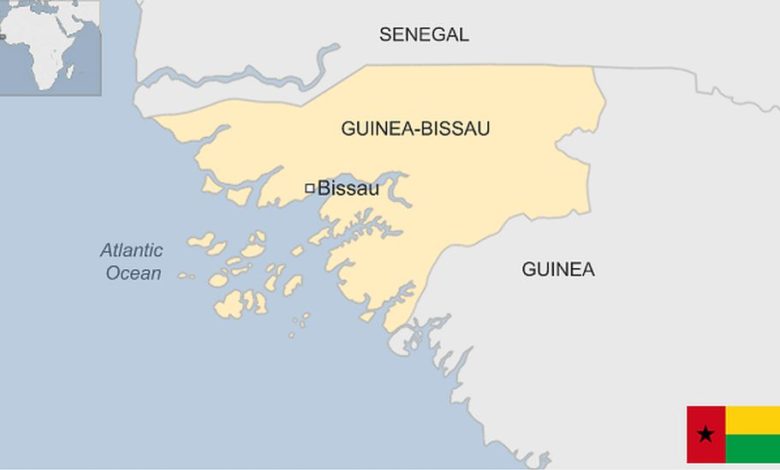 Detailed Introduction to the Country of Guinea-Bissau