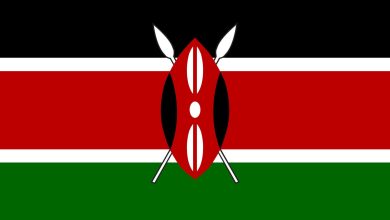 Detailed Introduction to the Country of Kenya