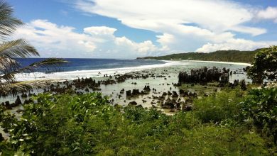 Detailed Introduction to the Country of Nauru