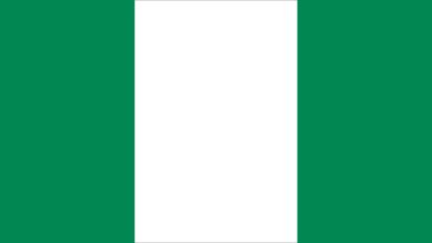 Detailed Introduction to the Country of Nigeria