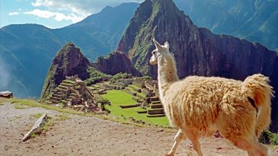 Detailed Introduction to the Country of Peru