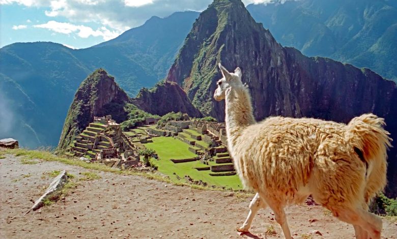 Detailed Introduction to the Country of Peru