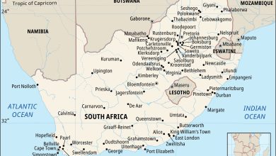 Detailed Introduction to the Country of South Africa