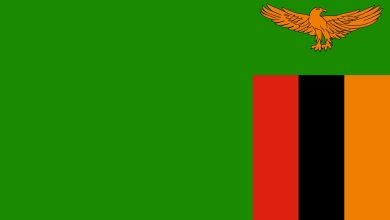 Detailed Introduction to the Country of Zambia