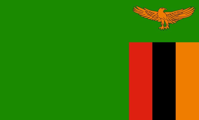 Detailed Introduction to the Country of Zambia