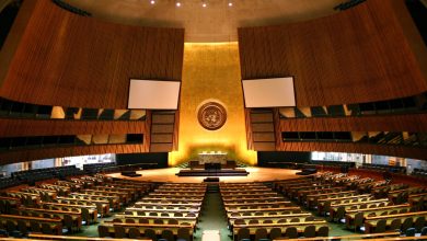 How Often Does the United Nations General Assembly Meet