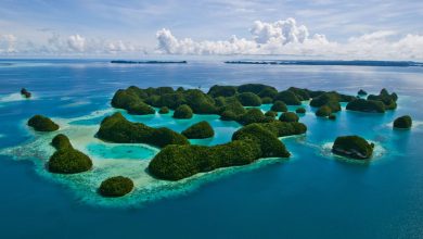 Introduction And History of Palau