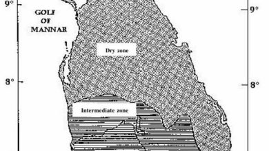 Introduction And History of Sri Lanka