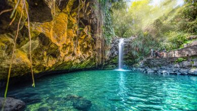 Natural Beauty And Sightseeing in Grenada.