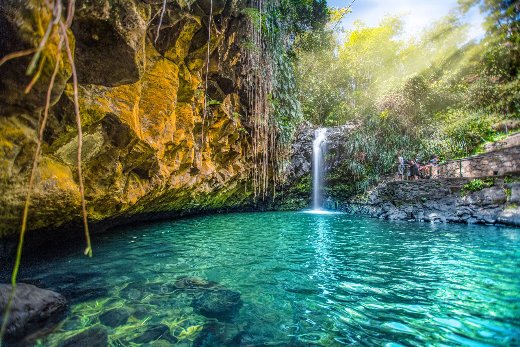 Natural Beauty And Sightseeing in Grenada.