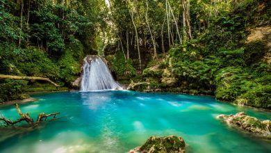 Natural Beauty And Sightseeing in Jamaica.