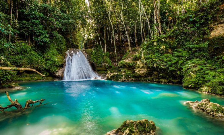 Natural Beauty And Sightseeing in Jamaica.