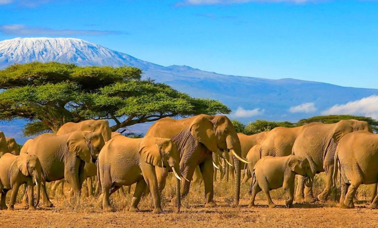 Natural Beauty And Sightseeing in Kenya.