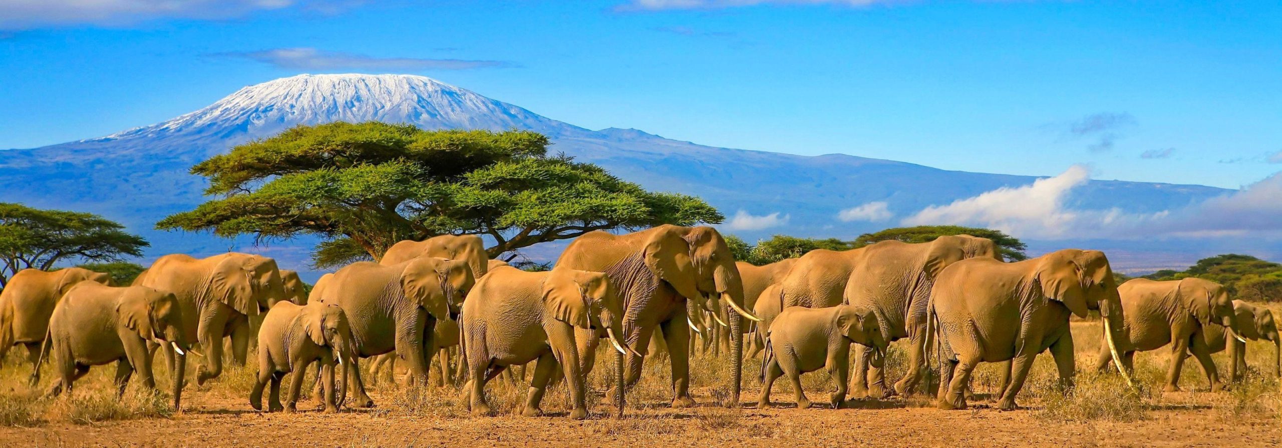 Natural Beauty And Sightseeing in Kenya.