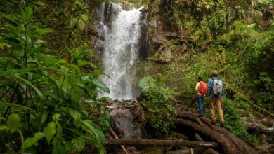 Natural Beauty And Sightseeing in Panama.