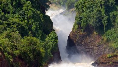 Natural Beauty And Sightseeing in Uganda.