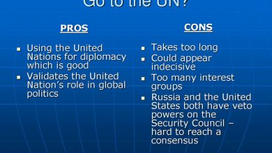 Pros And Cons of Us in United Nations