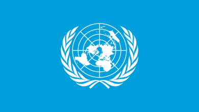 What are the Two Main Roles of the United Nations