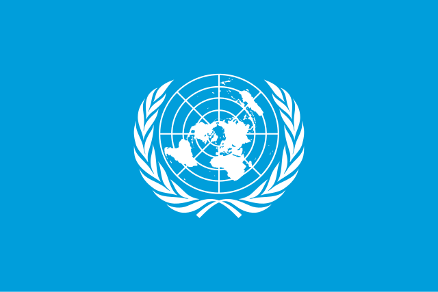 What are the Two Main Roles of the United Nations