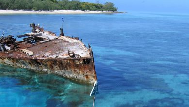 Great Barrier Reef History.