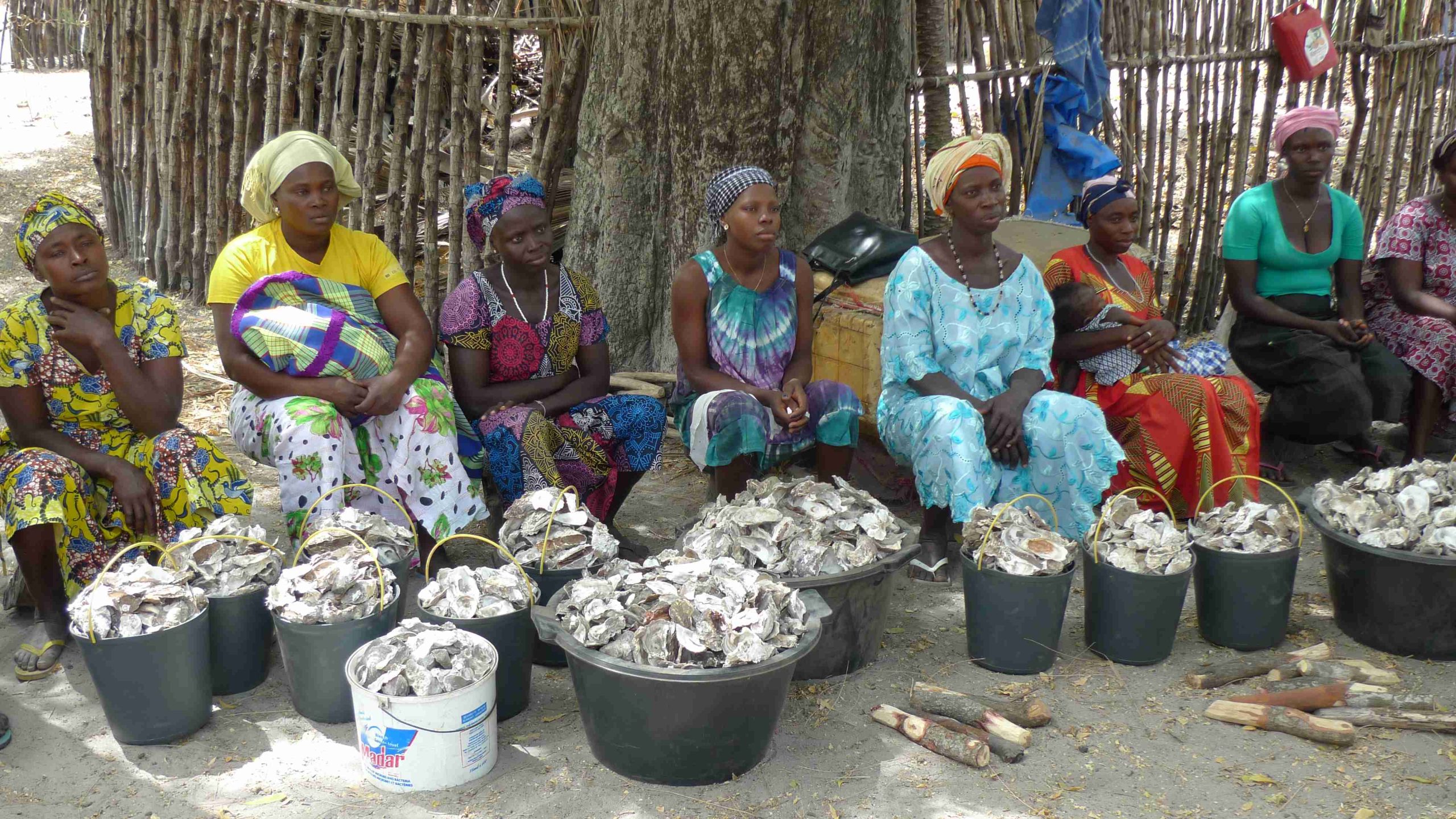 Communities of Guinea-Bissau