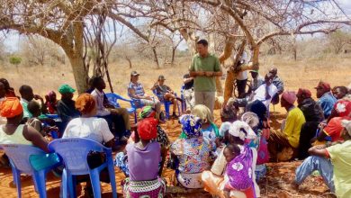 Communities of The Kenyan