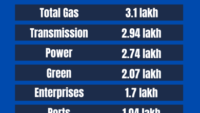 What Happened Adani Shares Today