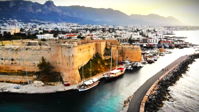 Communities of Cyprus: Discover the Island's Cultures.