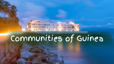 Communities Of Guinea: Diverse Cultures And Traditions