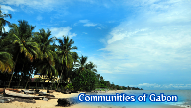Communities Of Gabon: Exploring Rich Cultural Diversity