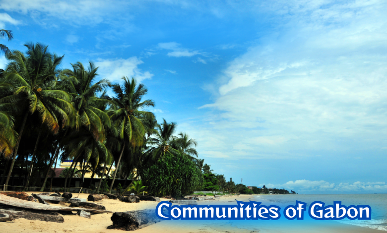 Communities Of Gabon: Exploring Rich Cultural Diversity