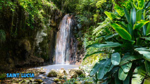 Communities Of Saint Lucia: Discover Vibrant Local Cultures