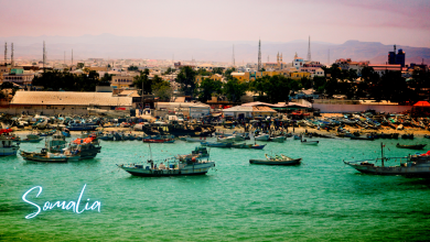 Communities of Somalia: Rich Heritage and Vibrant Cultures
