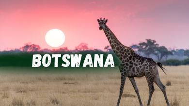 Communities of Botswana: Diverse Cultures and Traditions